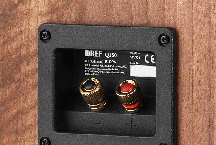 binding posts on the rear panel of KEF Q350