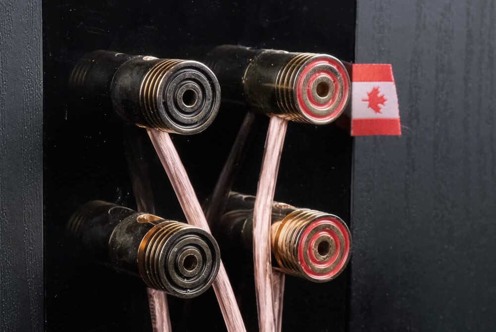 bi-wiring and bi-amping speakers