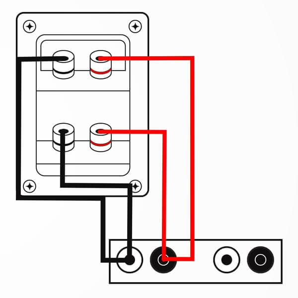 speaker bi-wiring schema